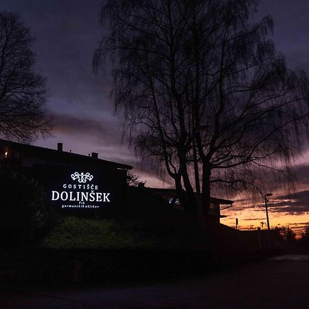 Guesthouse Dolinsek Sevnica エクステリア 写真