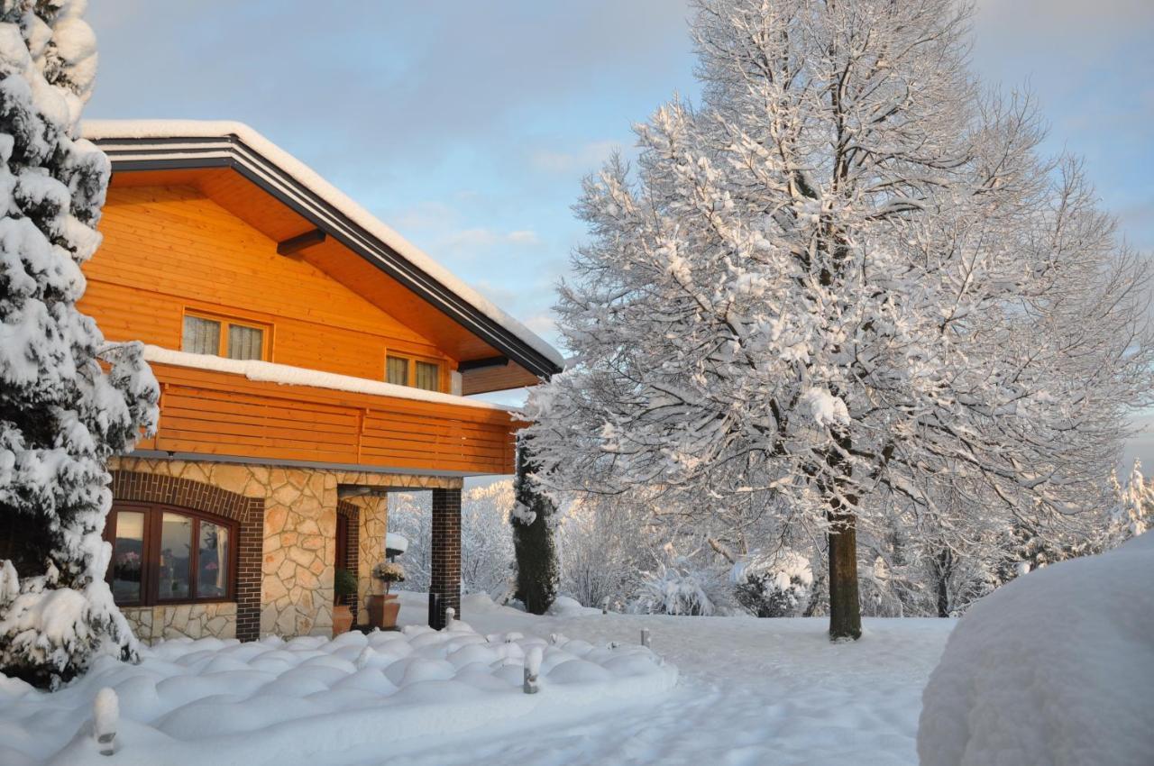 Guesthouse Dolinsek Sevnica エクステリア 写真