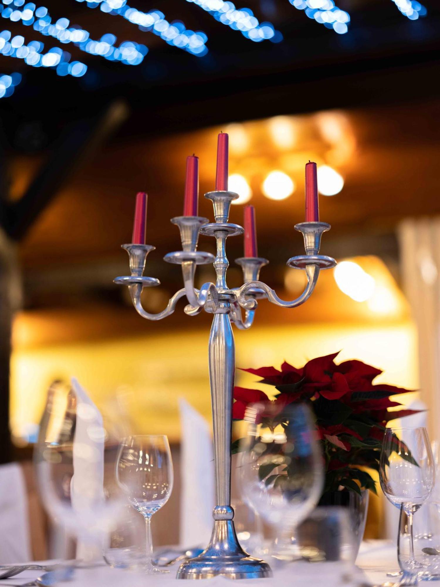 Guesthouse Dolinsek Sevnica エクステリア 写真